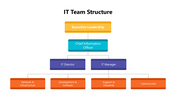 102011-it-team-structure-01