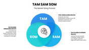 13469-tam-sam-som-powerpoint-template-03