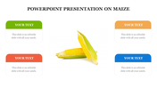 Maize-themed slide with an image of two corn cobs in the center and four text boxes in vibrant colors around it.