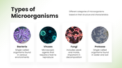 13884-microbiology-powerpoint-template-03