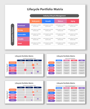 Lifecycle portfolio matrix slides with tables and charts in blue, orange, purple, and pink showing competitive positions.