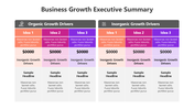 Business growth summary comparing organic and inorganic strategies with financial data and placeholder sections.
