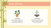 201107-biology-subject-for-pre-k-parts-of-a-plant-02