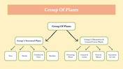 201107-biology-subject-for-pre-k-parts-of-a-plant-09