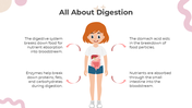 201169-all-about-digestion-lesson-for-middle-school-02