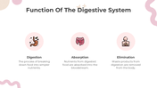 201169-all-about-digestion-lesson-for-middle-school-04