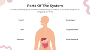 201169-all-about-digestion-lesson-for-middle-school-07