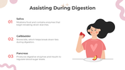 201169-all-about-digestion-lesson-for-middle-school-10