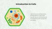 201213-biology-subject-for-high-school-cell-theory-02