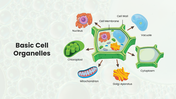 201213-biology-subject-for-high-school-cell-theory-07