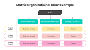 201214-matrix-organizational-chart-example-03