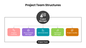 201217-project-team-structures-01