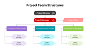 201217-project-team-structures-03