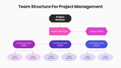 201223-team-structure-for-project-management-03