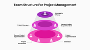 201223-team-structure-for-project-management-05