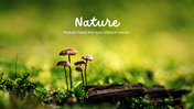 201226-nature-desktop-backgrounds-04