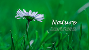 2012271-nature-background-wallpaper-02