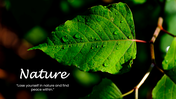 2012271-nature-background-wallpaper-04