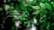 201228-beautiful-nature-desktop-backgrounds-04