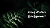 201232-dark-nature-background-01