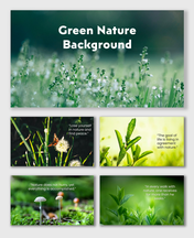 Green nature background slides with fresh leaves, flowers, and soft sunlight tones creating a calm and refreshing vibe.