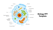 Biology template showing a detailed cell diagram with labeled organelles like mitochondria, nucleus, and lysosomes.