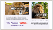 Animal portfolio PowerPoint template featuring two lion images with captions and text sections.
