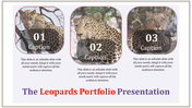 Three rounded square with leopard images in a horizontal layout on a light background with captions below.