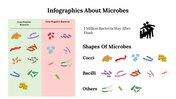 Microbial infographic featuring categories of gram-positive and gram-negative bacteria with various microbe shapes.