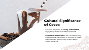 300966-national-cocoa-day-09