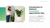 301031-national-houseplant-appreciation-day-02