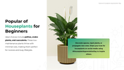 301031-national-houseplant-appreciation-day-06