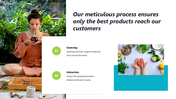 301145-natural-organic-skin-care-06