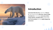 301237-international-polar-bear-day-02