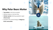 301237-international-polar-bear-day-03