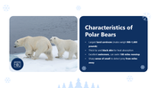 301237-international-polar-bear-day-04
