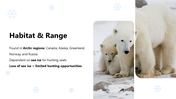 301237-international-polar-bear-day-05