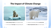 301237-international-polar-bear-day-06
