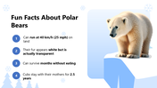 301237-international-polar-bear-day-10