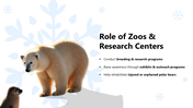 301237-international-polar-bear-day-13