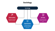 Sociology slides use hexagons, circles, and icons to explain methods, types, roles, values, and pros and cons in society.