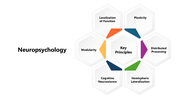 301274-neuropsychology-03