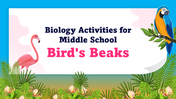 301290-biology-activities-for-middle-school-birds-beaks-01