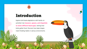 301290-biology-activities-for-middle-school-birds-beaks-02