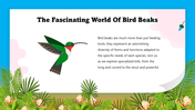 301290-biology-activities-for-middle-school-birds-beaks-04