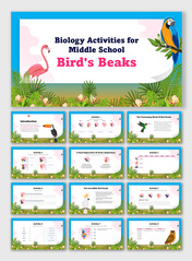 Biology Activities For Middle School Birds Beaks slides show colorful birds, beak types, nature graphics, and fun tasks.