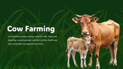 301322-cow-farming-01