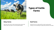 301322-cow-farming-03