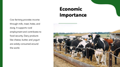 301322-cow-farming-08