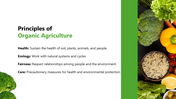 301338-organic-food-04